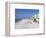 Treasure Island, Gulf Coast, Florida, United States of America, North America-Jeremy Lightfoot-Framed Photographic Print