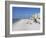 Treasure Island, Gulf Coast, Florida, United States of America, North America-Jeremy Lightfoot-Framed Photographic Print