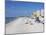 Treasure Island, Gulf Coast, Florida, United States of America, North America-Jeremy Lightfoot-Mounted Photographic Print