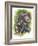 Treasure-Barbara Keith-Framed Giclee Print