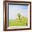 Treasured Memories 2-Kevin Dodds-Framed Giclee Print