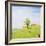 Treasured Memories 2-Kevin Dodds-Framed Giclee Print