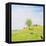 Treasured Memories 2-Kevin Dodds-Framed Premier Image Canvas