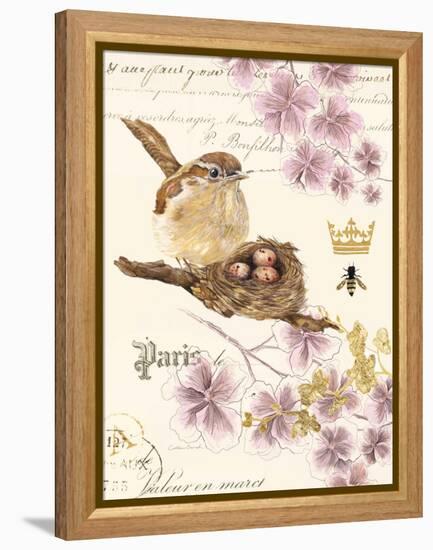 Treasured Nest-Colleen Sarah-Framed Stretched Canvas