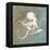 Treasures from the Sea V-Danhui Nai-Framed Stretched Canvas