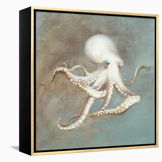 Treasures from the Sea V-Danhui Nai-Framed Stretched Canvas