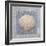 Treasures I-Jan Sacca-Framed Giclee Print