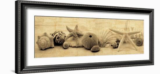 Treasures I-John Seba-Framed Photo