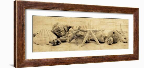 Treasures II-John Seba-Framed Photo