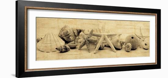 Treasures II-John Seba-Framed Photo