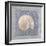 Treasures III-Jan Sacca-Framed Giclee Print