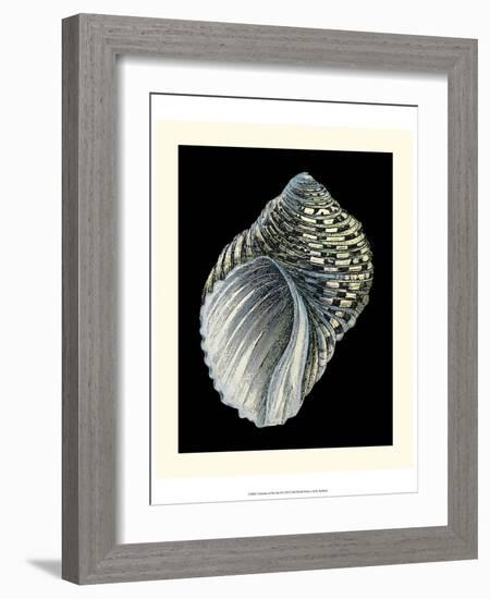 Treasures of the Sea III-Pierre-Joseph Redouté-Framed Art Print