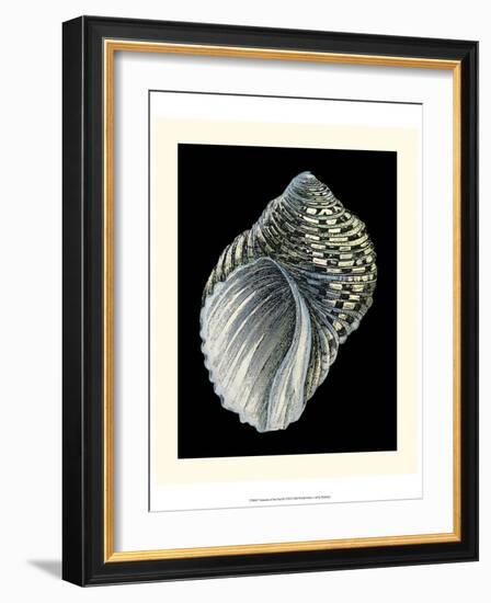 Treasures of the Sea III-Pierre-Joseph Redouté-Framed Art Print