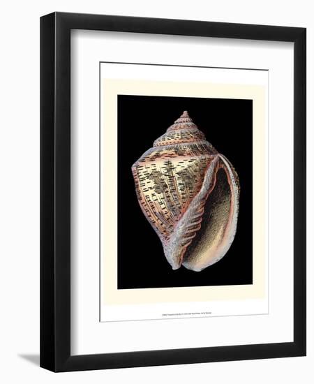 Treasures of the Sea V-Pierre-Joseph Redouté-Framed Art Print