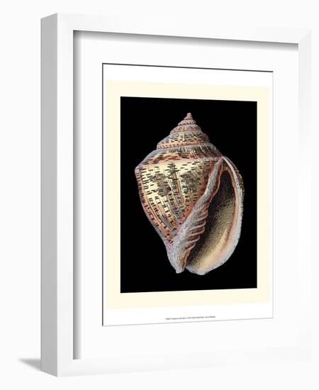 Treasures of the Sea V-Pierre-Joseph Redouté-Framed Art Print