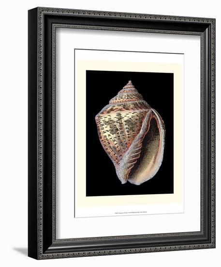 Treasures of the Sea V-Pierre-Joseph Redouté-Framed Art Print