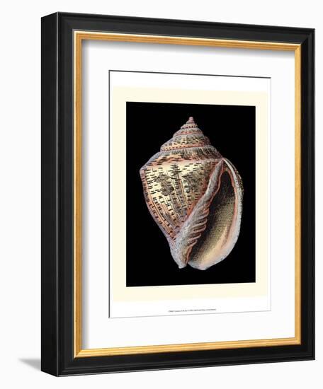 Treasures of the Sea V-Pierre-Joseph Redouté-Framed Art Print