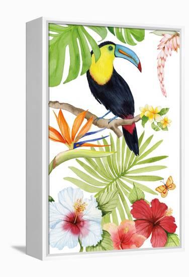 Treasures of the Tropics I-Kathleen Parr McKenna-Framed Stretched Canvas