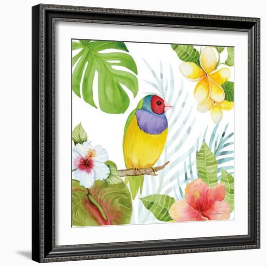 Treasures of the Tropics V-Kathleen Parr McKenna-Framed Art Print