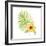 Treasures of the Tropics XI-Kathleen Parr McKenna-Framed Art Print