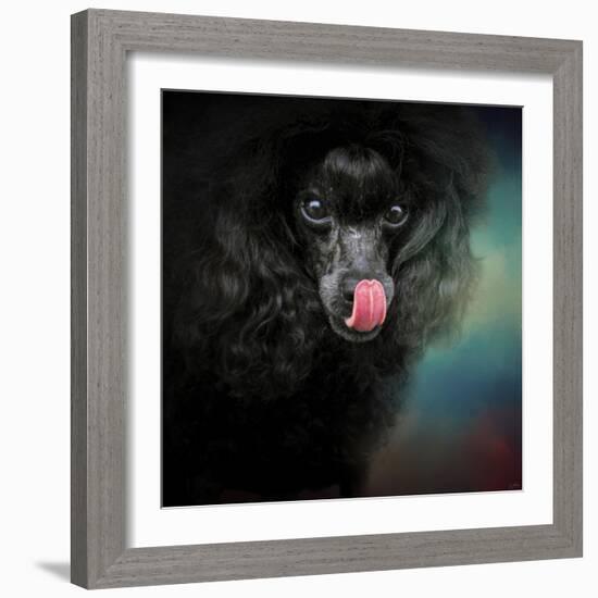 Treat Snatcher Toy Black Poodle-Jai Johnson-Framed Giclee Print