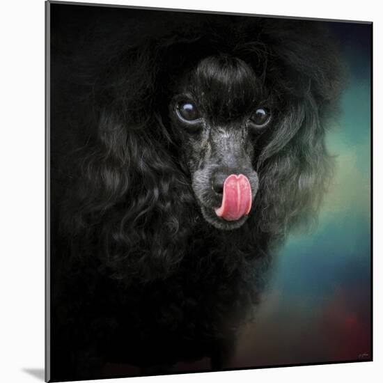 Treat Snatcher Toy Black Poodle-Jai Johnson-Mounted Giclee Print