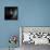 Treat Snatcher Toy Black Poodle-Jai Johnson-Framed Premier Image Canvas displayed on a wall