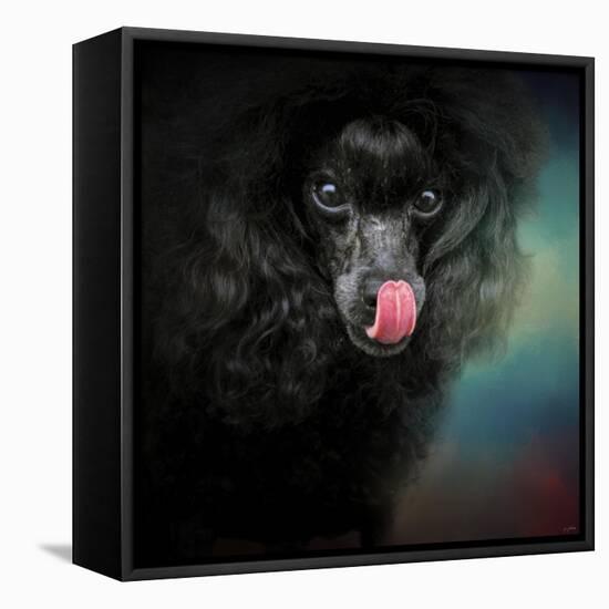 Treat Snatcher Toy Black Poodle-Jai Johnson-Framed Premier Image Canvas