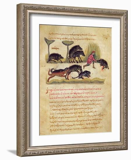 Treatise on the Boar: Life, Mating, Hunting, Illustration from the 'Cynegetica' by Oppian-Italian-Framed Giclee Print