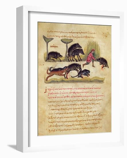 Treatise on the Boar: Life, Mating, Hunting, Illustration from the 'Cynegetica' by Oppian-Italian-Framed Giclee Print