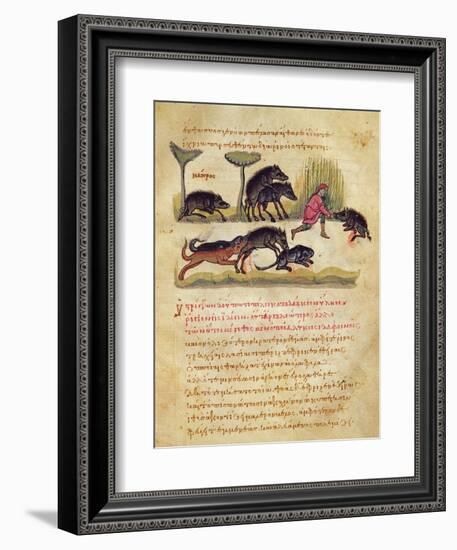 Treatise on the Boar: Life, Mating, Hunting, Illustration from the 'Cynegetica' by Oppian-Italian-Framed Giclee Print