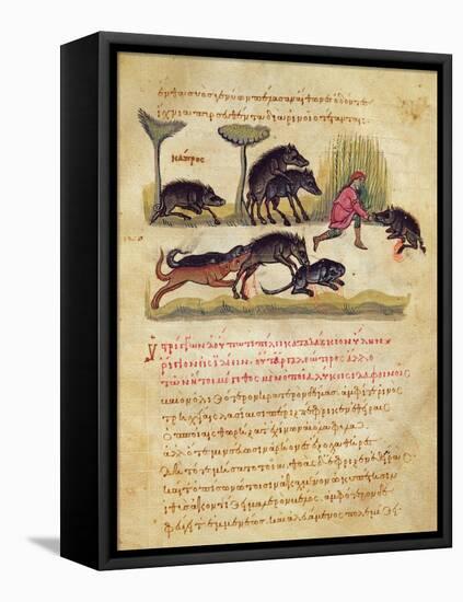 Treatise on the Boar: Life, Mating, Hunting, Illustration from the 'Cynegetica' by Oppian-Italian-Framed Premier Image Canvas