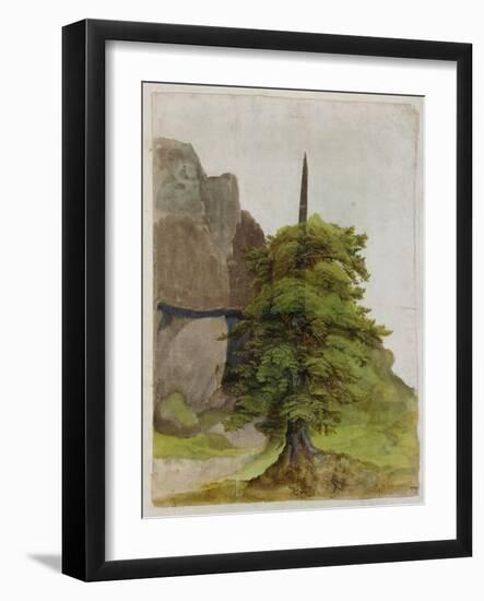 Tree, about 1506-Albrecht Dürer-Framed Giclee Print