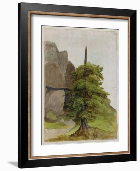 Tree, about 1506-Albrecht Dürer-Framed Giclee Print