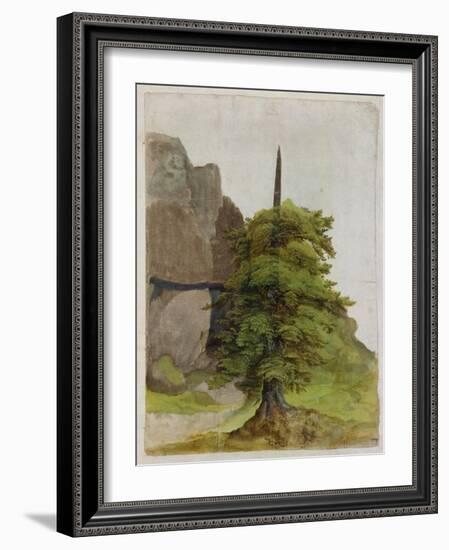 Tree, about 1506-Albrecht Dürer-Framed Giclee Print