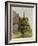 Tree, about 1506-Albrecht Dürer-Framed Giclee Print