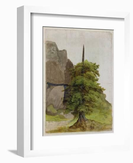 Tree, about 1506-Albrecht Dürer-Framed Giclee Print