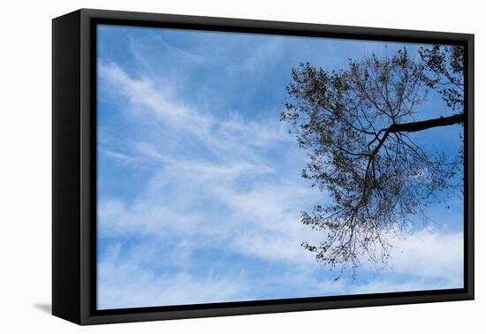 Tree Against a Blue Sky-null-Framed Stretched Canvas