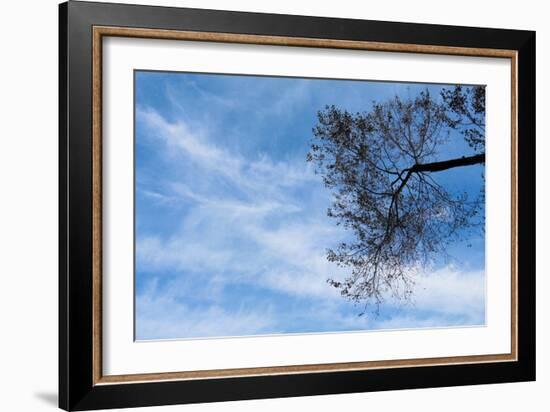 Tree Against a Blue Sky-null-Framed Photo