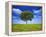 Tree Against Blue Sky-Lew Robertson-Framed Premier Image Canvas