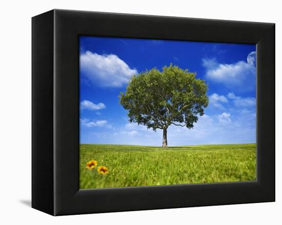 Tree Against Blue Sky-Lew Robertson-Framed Premier Image Canvas