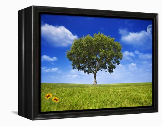 Tree Against Blue Sky-Lew Robertson-Framed Premier Image Canvas