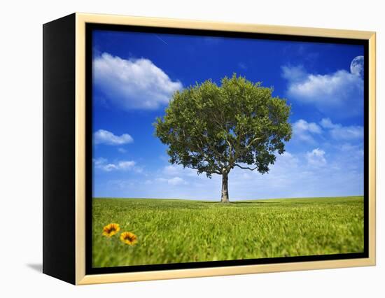 Tree Against Blue Sky-Lew Robertson-Framed Premier Image Canvas