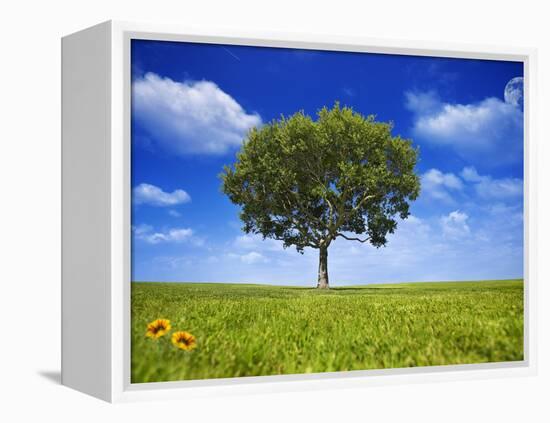 Tree Against Blue Sky-Lew Robertson-Framed Premier Image Canvas