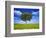 Tree Against Blue Sky-Lew Robertson-Framed Photographic Print