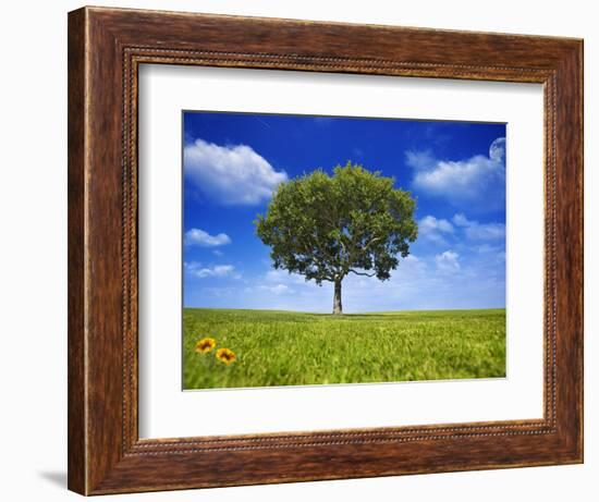 Tree Against Blue Sky-Lew Robertson-Framed Photographic Print