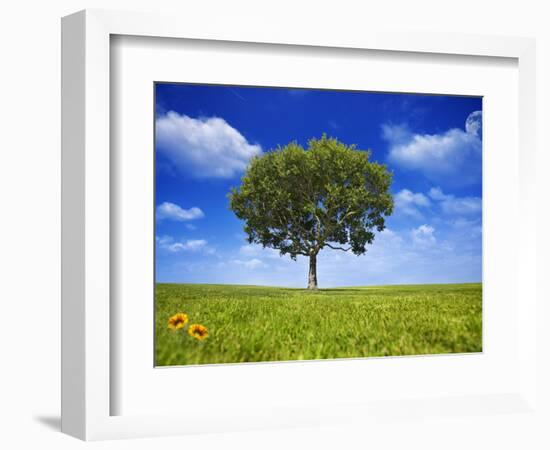 Tree Against Blue Sky-Lew Robertson-Framed Photographic Print