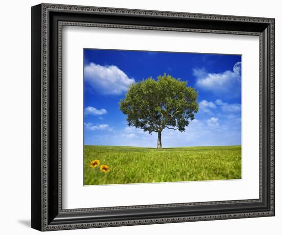 Tree Against Blue Sky-Lew Robertson-Framed Photographic Print