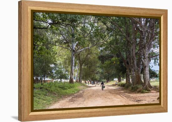 Tree Alley in Livingstonia, Malawi, Africa-Michael Runkel-Framed Premier Image Canvas