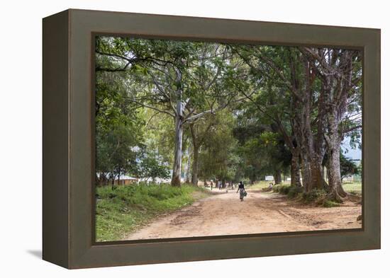 Tree Alley in Livingstonia, Malawi, Africa-Michael Runkel-Framed Premier Image Canvas